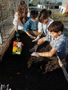 20221201 145230 - En collaboration avec le Rotary Club de Quimper, les élèves ont planté des bulbes de tulipes 🌷