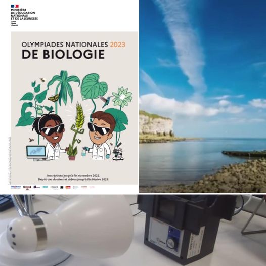 333906153 726073675914552 9115537993461039500 n - Actualités