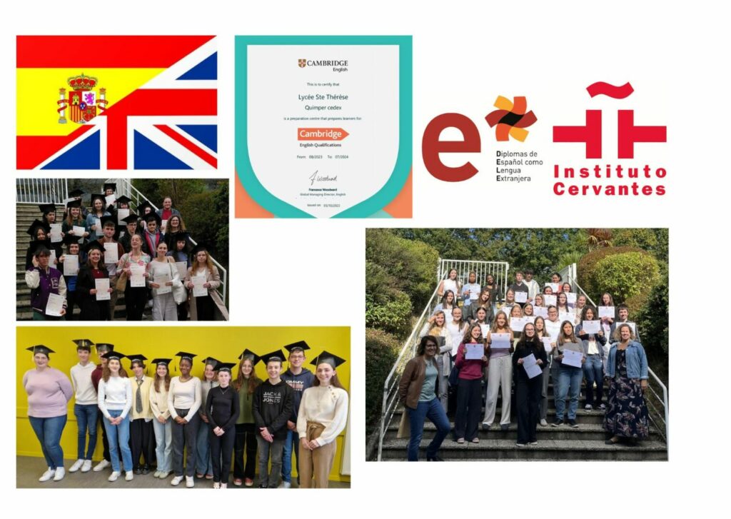 cerf 2 - Sections européennes et Erasmus+