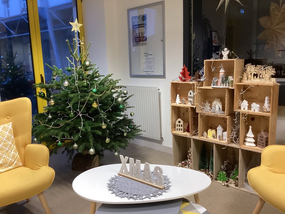 En attendant Noel Ces dernieres semaines de sympathiques decorations 1 1467412508723374 - Inscription