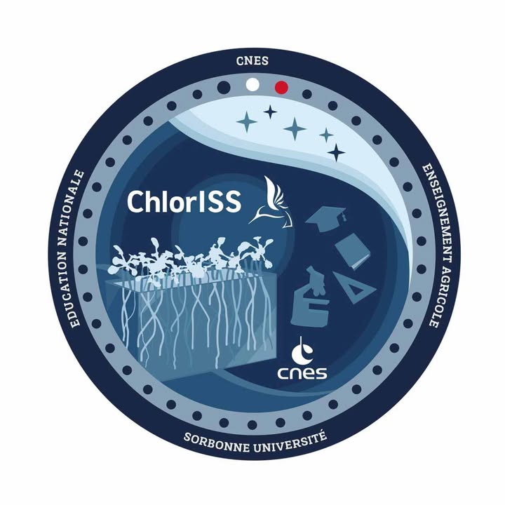 Lycee ChlorISS et specialite SVT Les eleves de 1 1601022545362369 - Le lycée